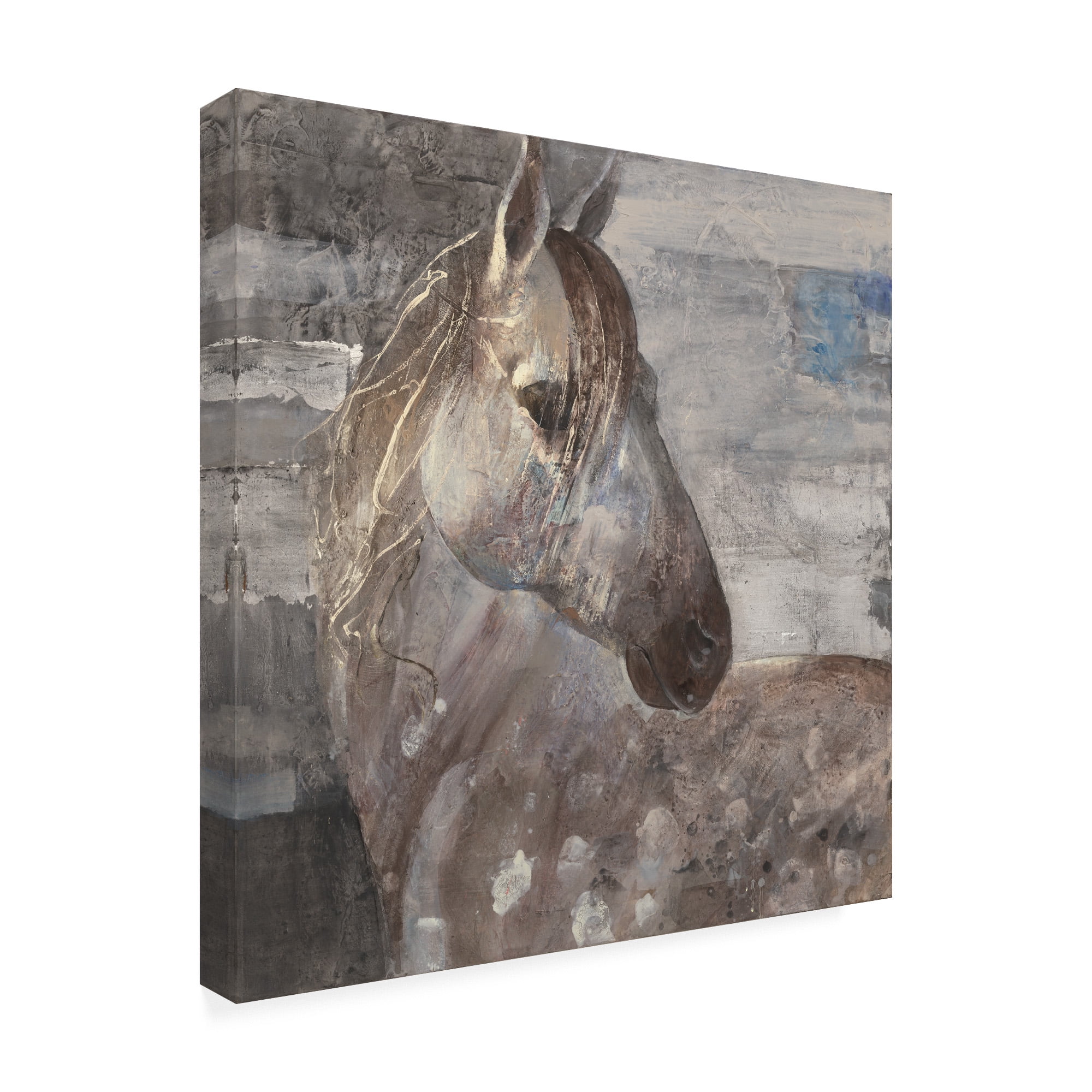 Trademark Fine Art 'Appaloosa' Canvas Art by Albena Hristova