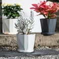 thumbnail image 3 of Macetas de plástico Dinheiro, macetas variadas para plantas de flores, macetas para plántulas, macetas para viveros con bandeja, plantas para interior y exterior, 3 of 5