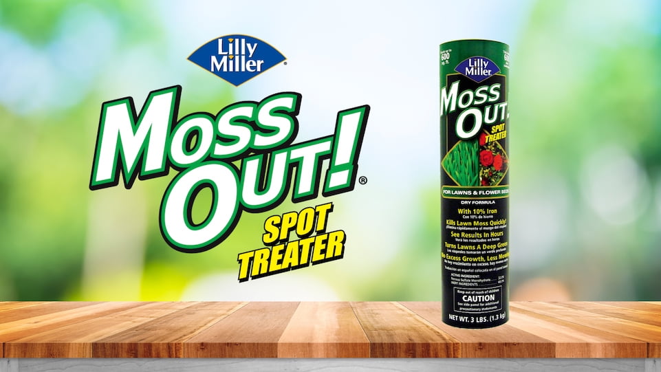 Lilly Miller Moss Out! Spot Treater for Lawns & Flower Beds, Herbicide, 3lb. 1 pack
