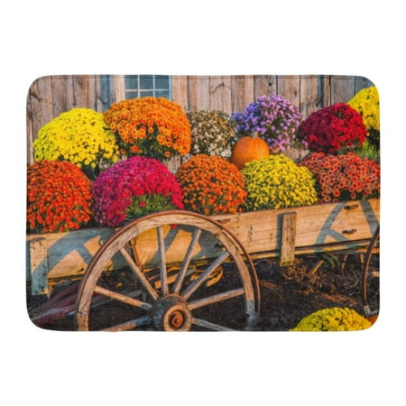 Pottery Barn Orange County GODPOK Tan Autumn Orange Fall Vintage Wagon with Colorful Flowers Against Old Weathered Barn Red Pumpkin Yellow Rug Doormat Bath Mat 23.6x15.7 inch ()