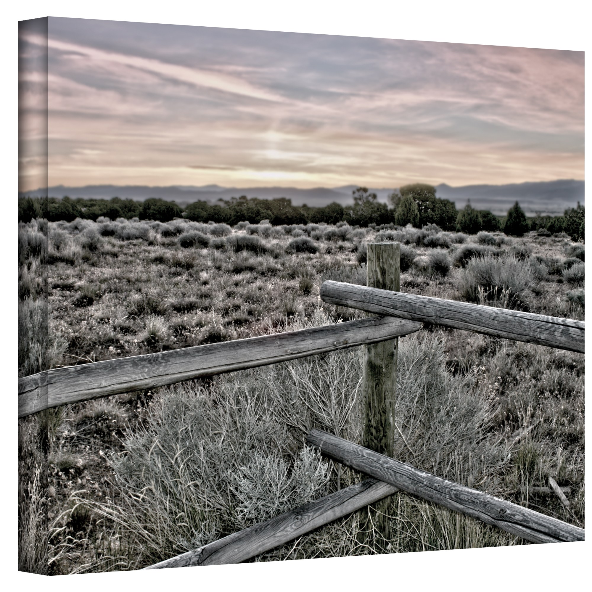 Mark Ross "Intersection Of The Tortoise And Hare" Wrapped Canvas Art