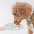 thumbnail image 3 of Dexypaws: Enrichment Snuffle Mat: Sky Blue Circle - Textured Dog Feeding Pad, Food Grade Silicone, Spread Food & Treats, Pet Soothing, Suction Back, 3 of 6