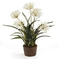 thumbnail image 1 of Napa Home and Garden Agapanthus 29 in. Drop-In Silk Plant, 1 of 1