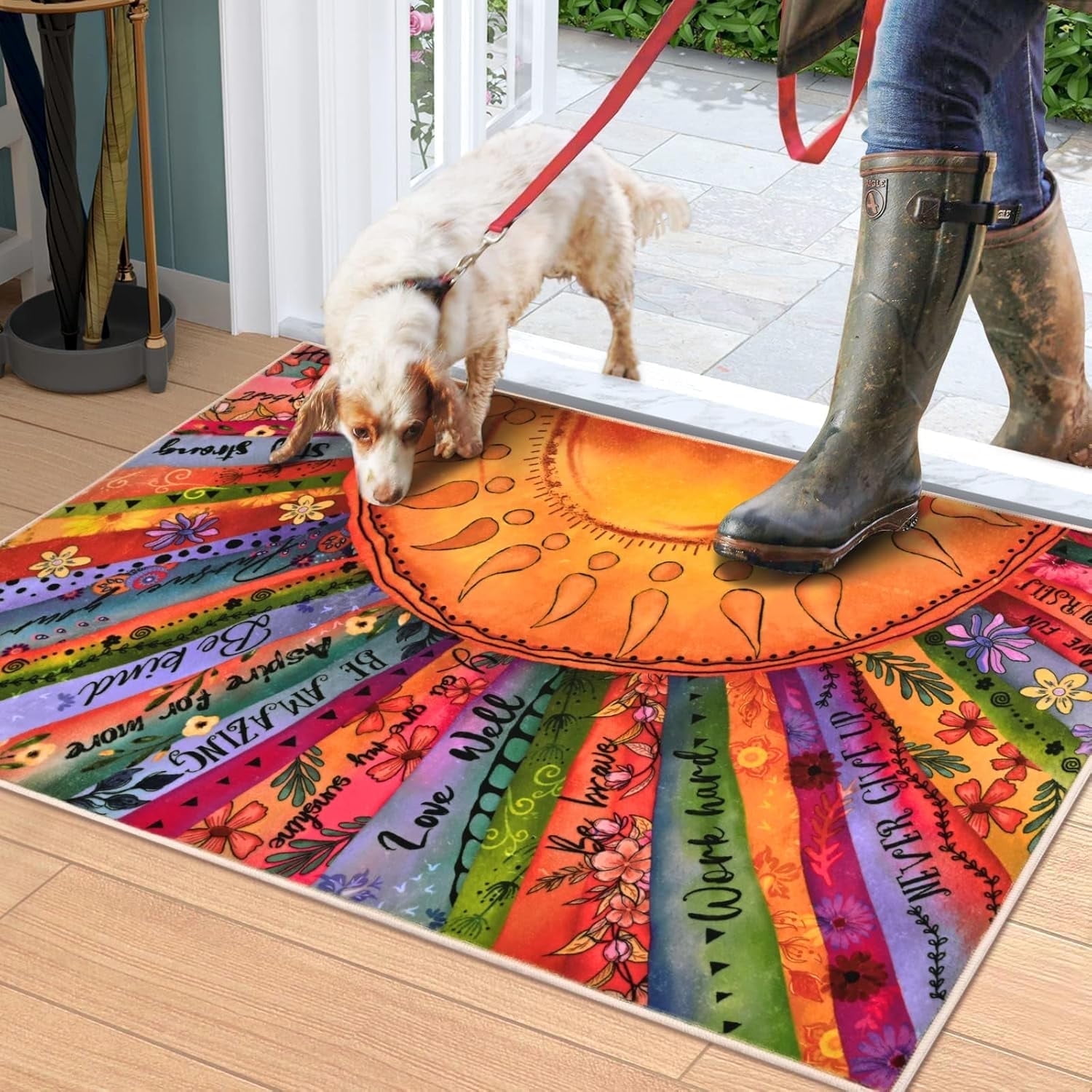 Bleum Cade Boho Sun Area Rugs 2x3 Entryway Rug,Non Slip Washable Door Mat Outdoor Indoor Welcome Mat for Entrance