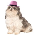 thumbnail image 4 of Pet Dog Cowboy Hat with Adjustable Chin Strap, Creative Jazz Fedora Cap Headwear for Puppies Small Medium Dogs and Cats, Funny Costume Birthday Party Cosplay Photo Shoots Apparel, 4 of 5