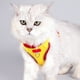 thumbnail image 1 of Pisexur Suministros para mascotas Correa para perros y gatos sin mangas estilo mascota reflectante y transpirable correa adecuada para gatos y perros al aire libre correaperros, gatos y animales, 1 of 6