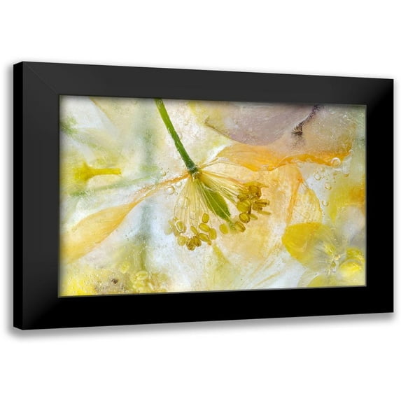 Disher, Mandy 18x13 Black Modern Framed Museum Art Print Titled - Papaver Ice