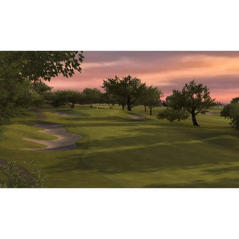 Next Tiger Woods to support Wii Motion Plus - Ars Technica