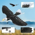 Kid Odyssey RC Plane, Remote Control Eagle Plane Aircraft, RTF Airplane