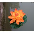 thumbnail image 3 of Paquete de 2 flores de loto artificiales de espuma flotante, plantas de estanque de lirios de agua, decoración para el hogar y el jardín, decoración de 7" de diámetro, 3 of 5