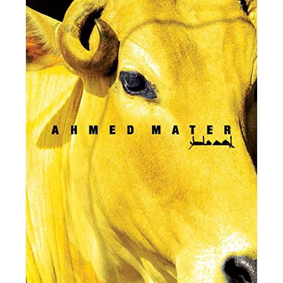 Ahmed Mater