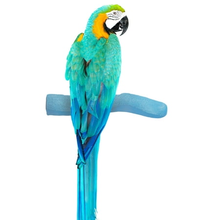 Bird Safety Perch - Sweet Feet and Beak Safety Pumice Perch for Birds- Helps Stimulate Leg Muscles and Promotes Healthy Feet