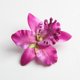 thumbnail image 3 of 10 Uds cabezas de de seda artificiales para manualidades de bolas de boda DIY 9cm Colcomx Cabeza de flor de seda de orquídea, 3 of 8