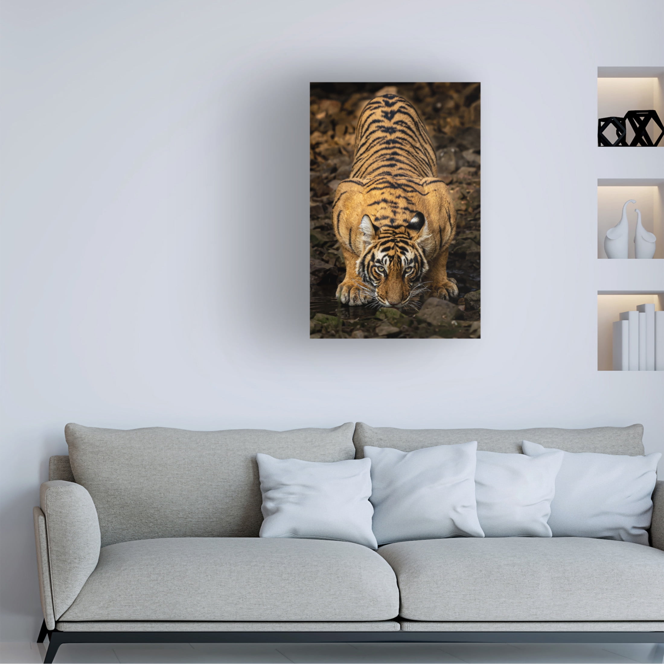 Trademark Fine Art Yogesh Bhatia Direct to the eyes Canvas Wall Art