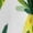 style-2, variant on Lunarable Pineapple Sleeveless Dress Woman Fashion Long Dresses Women's Summer Suit Dress Summer 2025 Women