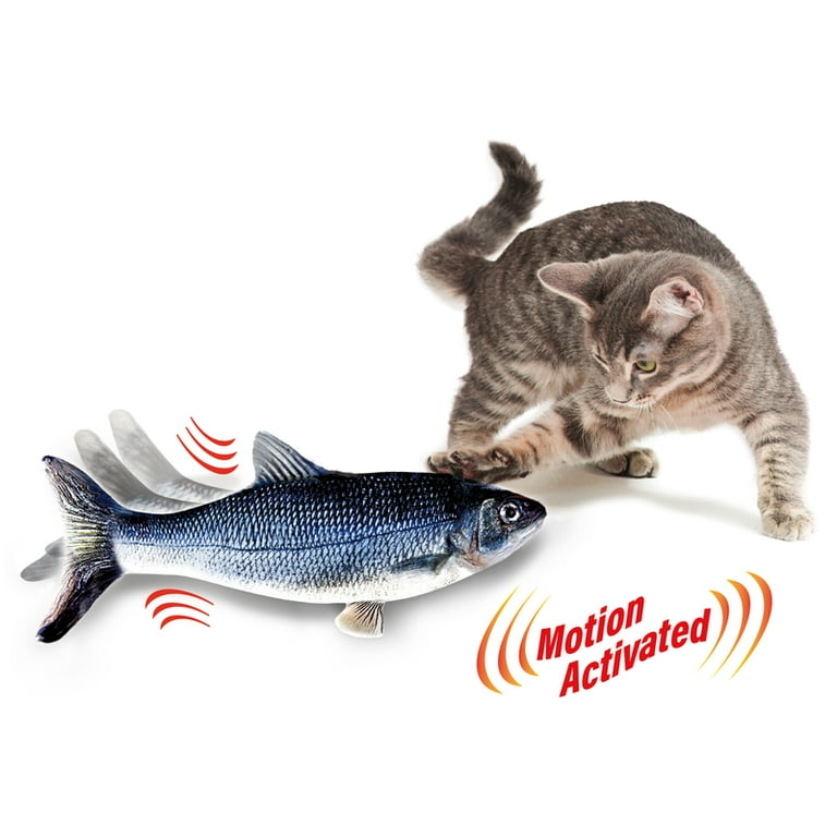 Cat tv fish hotsell