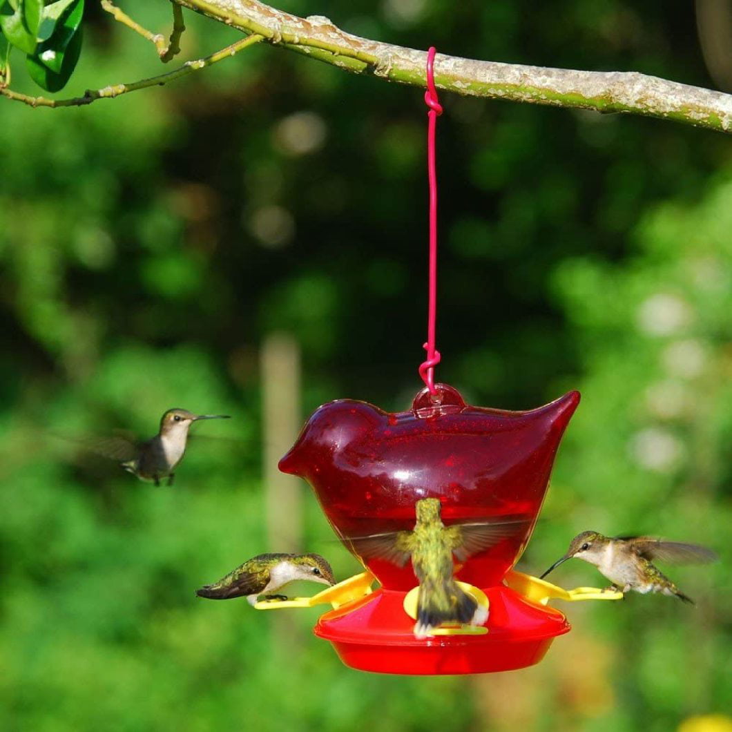 Songbird Essentials Window Feeder One Tube Hummingbird Feeder SEHHWF1T 