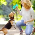 thumbnail image 4 of Cactus Dog Chew Toy Interactive Squeaky Toothbrush Stick for Puppy Cleaning and Aggressive Chewing, 4 of 4