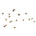 thumbnail image 4 of Northlight LED Watermelon Fairy Lights - Warm White - 2.75' Silver Wire - 10ct, 4 of 4