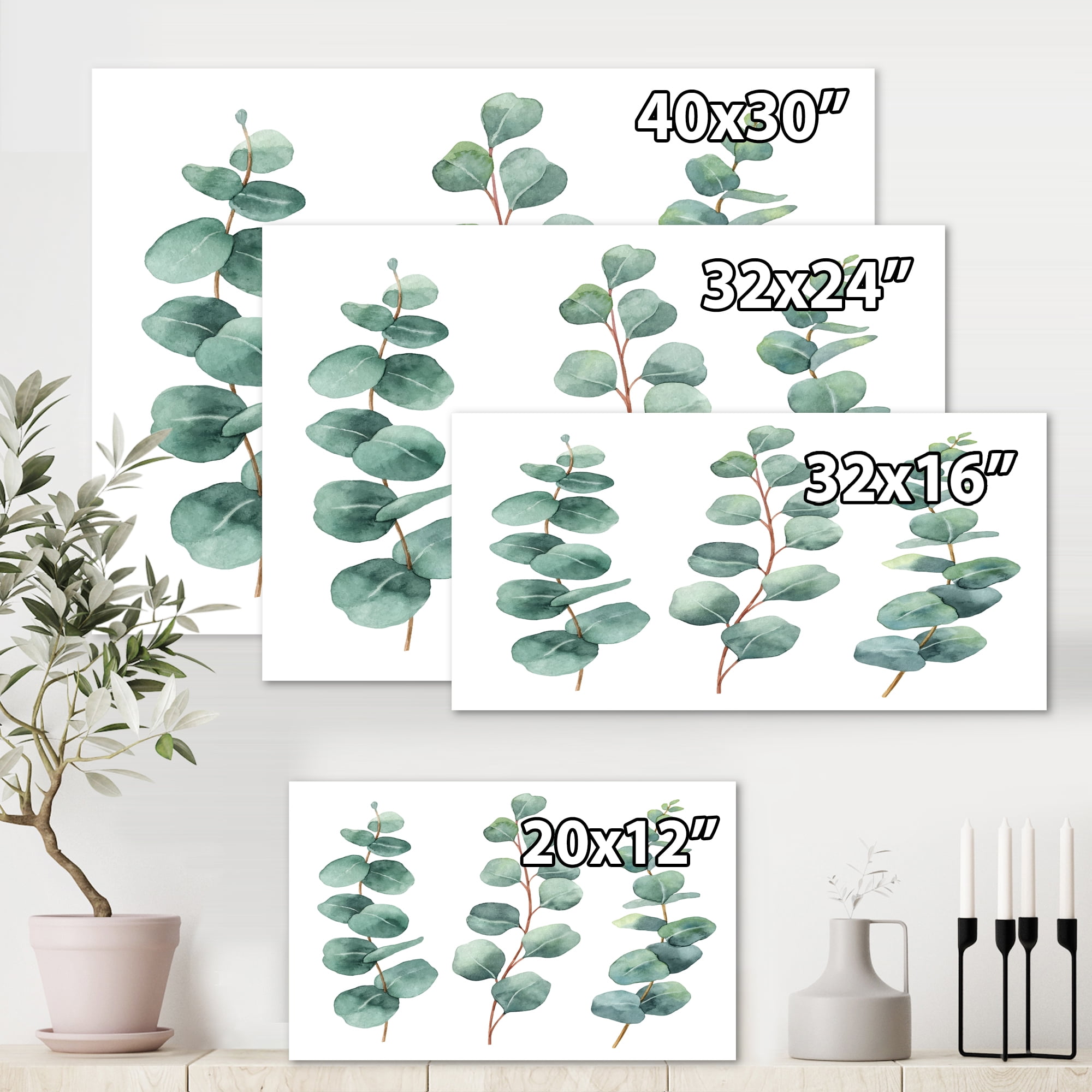 Designart ' Young Eucalyptus Branches and Leaves I ' Traditional Canvas Wall Art Print