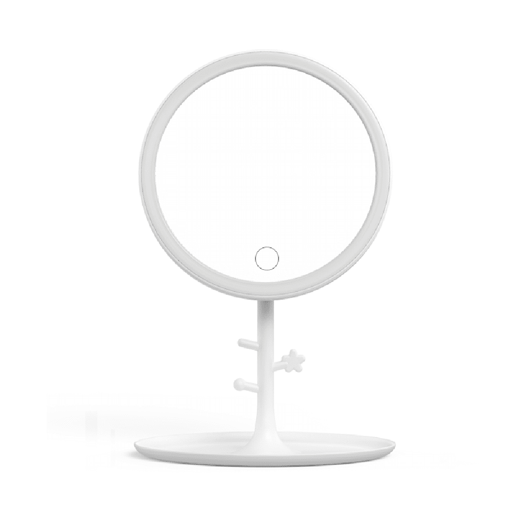 Costyle Lighted Makeup Mirror with Organizer Tray, w/Portable 5X