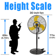 30 Heavy Duty Pedestal Misting Fan
