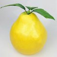 thumbnail image 2 of Orange Car Antenna Topper Decorations Artificial Fruit Car Antenna Ball Universal Exterior Accessories For Vehicles Truck Or Suv, 2 of 3