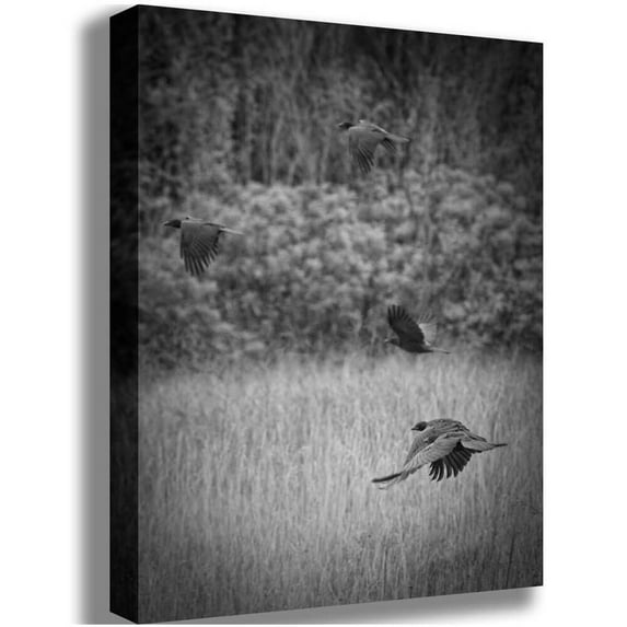Batie "The Crows" Canvas Print