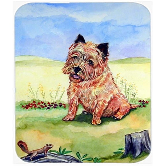 9.5 x 8 in. Cairn Terrier and the chipmunk Mouse Pad, Hot Pad or Trivet