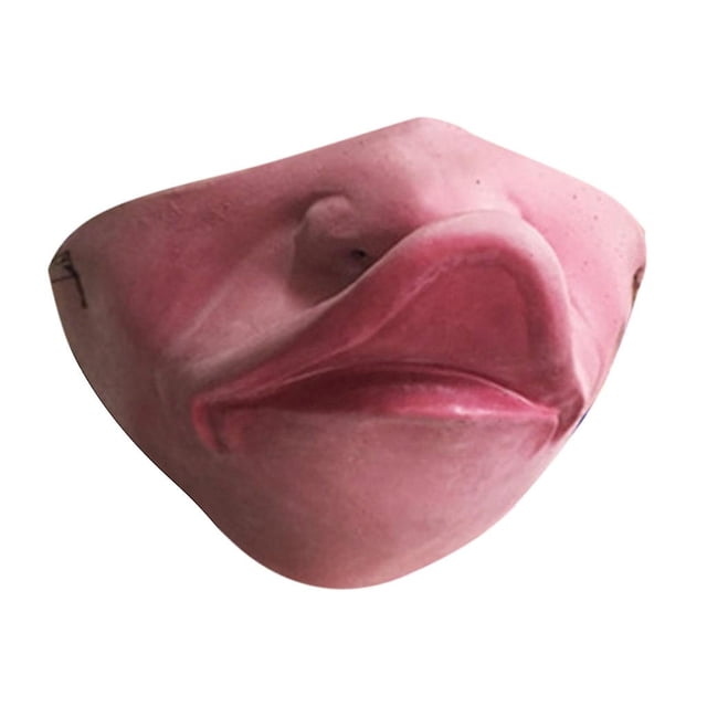 Casco Pet Funny Mask Big Lips para perros - HUOGUO