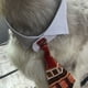 thumbnail image 4 of Pajarita ajustable para perros y gatos, ropa para mascotas, Collar de corbata para perros pequeños, accesorios de aseo para cachorros MFZFUKR CPB-US-YY34-2, 4 of 5