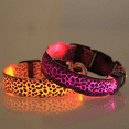 thumbnail image 4 of Arnés y Correa | Diseño Leopardo | Accesorio para Pasear a tu Perro, 4 of 5