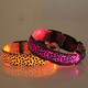 thumbnail image 4 of Arnés y Correa | Diseño de leopardo | Accesorio para pasear a tu perro, 4 of 5