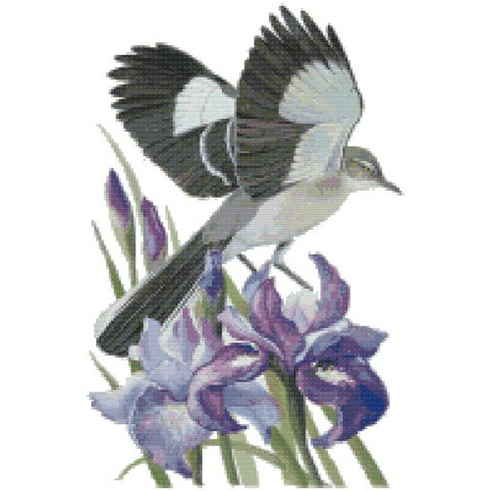 tennessee-state-bird-and-flower-northern-mockingbird-and-iris-counted