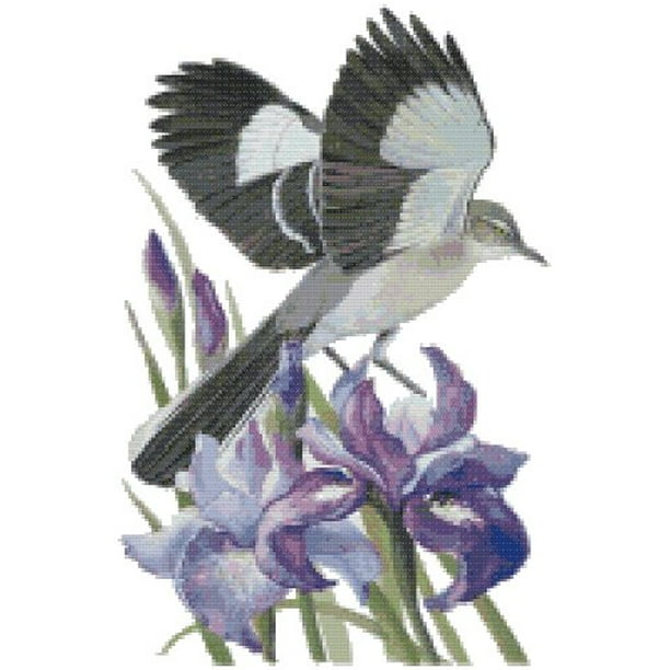 Tennessee State Bird And Flower Northern Mockingbird And Iris Counted Cross Stitch Pattern Walmart Com Walmart Com
