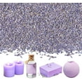 thumbnail image 5 of Dried Lavender Flowers,Bexikou 100g/Bag Dried Lavender Buds,Fragrant Lavender for Wedding, Crafts, Sachets, 5 of 8