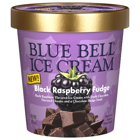 Blue Bell Black Raspberry Blue Bell Black Raspberry Fudge Ice Cream Half Gallon, 64 fl oz ...