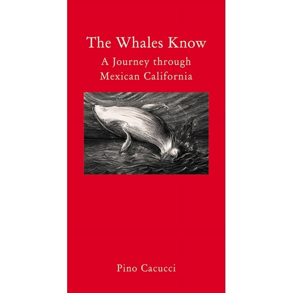 The Whales Know : A Journey through Mexican California (Hardcover)