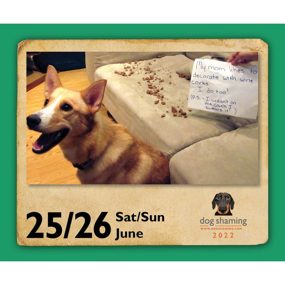 Dog Shaming 2022 Day-to-Day Calendar 