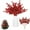 Red, variant on 20 Pack Christmas Red Glitter Berries Stems for Christmas Tree Decorations, Duslogis 7.8" Artificial Christmas Berry Tree Picks for DIY Crafts Wreath Garland Party Xmas Ornaments Decor (Red)