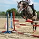 thumbnail image 4 of Conjunto de salto frontal abierto para caballos, tendón y menudillo: transpirable, ligero y Frente rojo L, 4 of 6