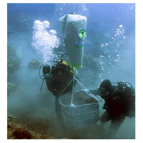 Subsalve Commercial Open Bottom Lift Bags, C100