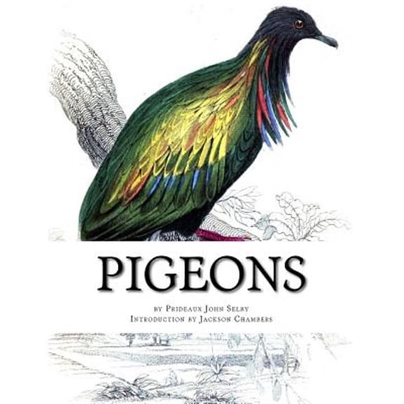 Pre-Owned Pigeons