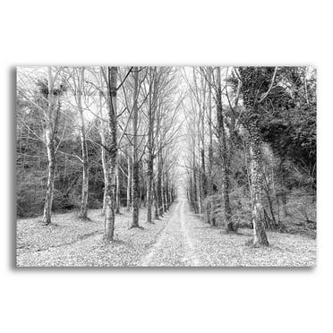 Epic Art 'The Way Forward' by IMB, Acrylic Glass Wall Art, 24"x16"