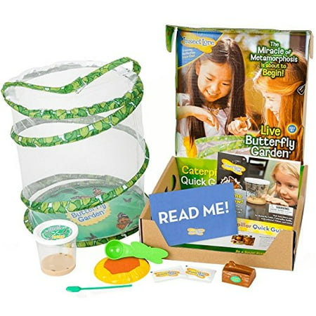 insect lore deluxe butterfly garden with live cup of caterpillars and feeding habitat kit - Live Butterfly Garden insect lore deluxe butterfly garden with live cup of caterpillars and feeding habitat kit - Live Butterfly Garden