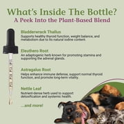 PetAlive Thyro-Pet Herbal Drops for Dog & Cat Thyroid Support - Herbal Liquid Thyroid Formula with Bladderwrack, Astragalus, Nettle Leaf, Supports Healthy Thyroid Function - 2 Fl Oz