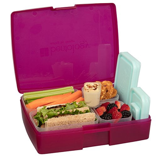 Fruit Multicolor Leak-proof Bento Lunch Box with 5 Removable Containers Bentology 