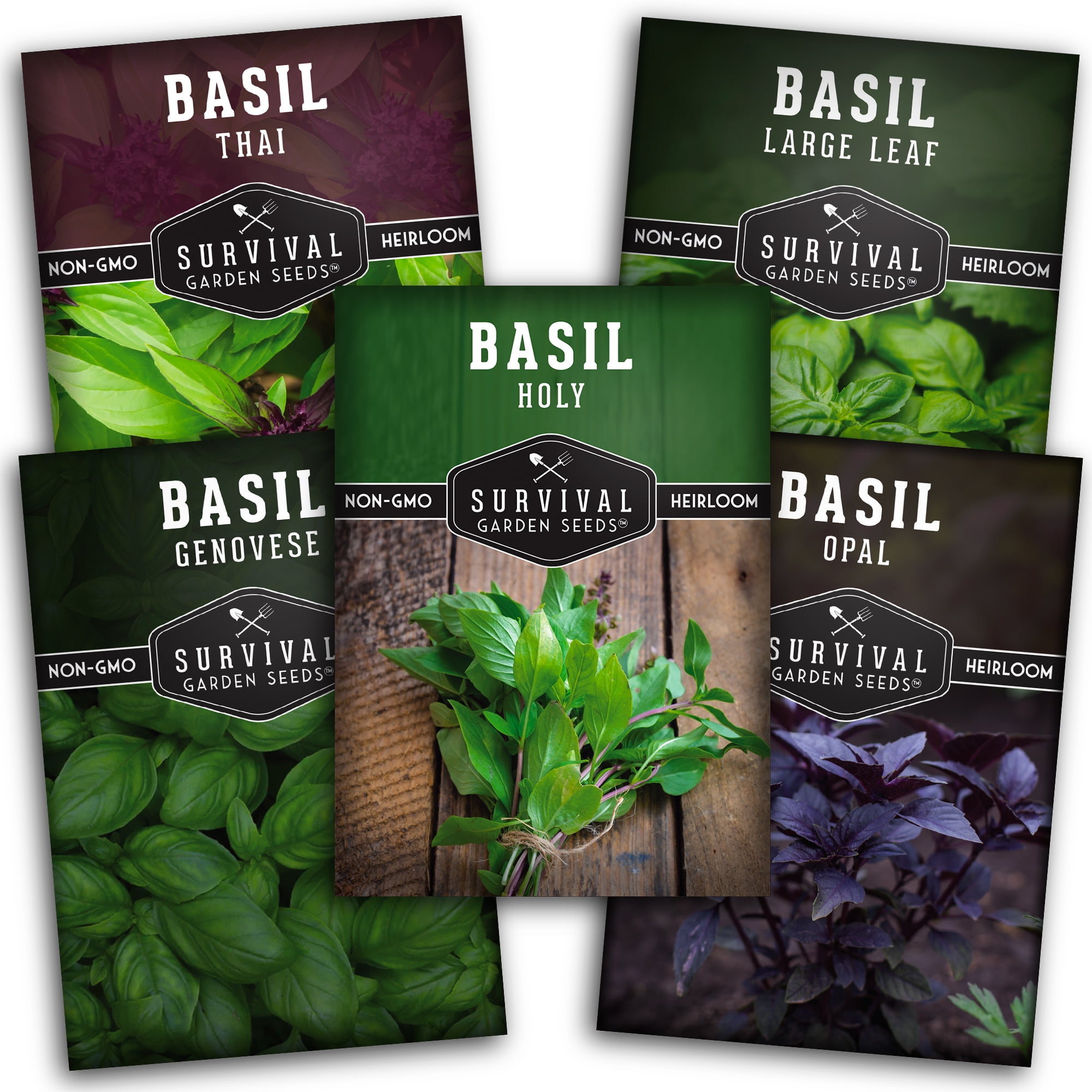Basil Collection Seed Vault Holy Basil, Genovese Basil, Large Leaf
