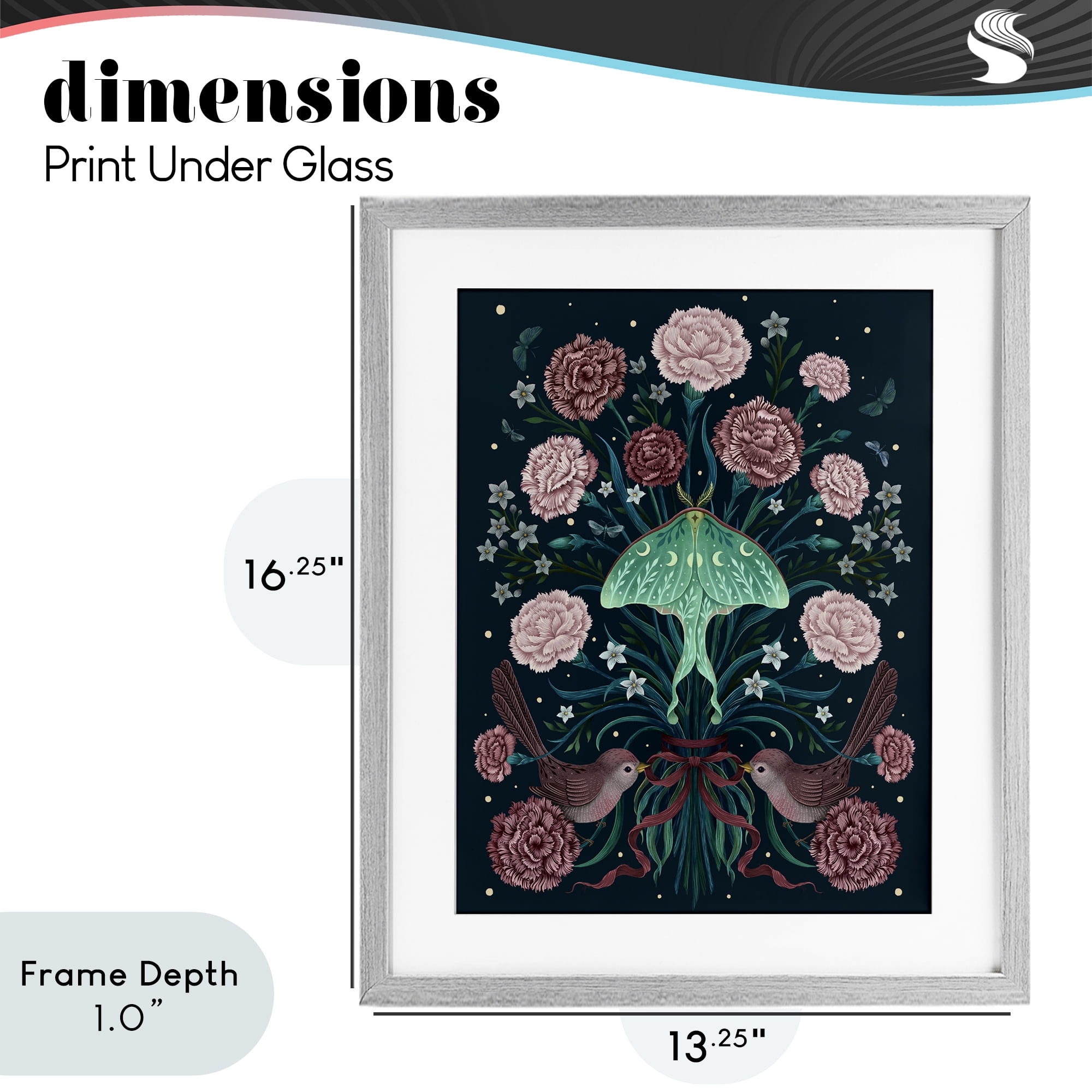 Stupell Industries January Carnations & Moth Gray Framed Print Under Glass, design by Episodic Drawings