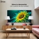 thumbnail image 3 of Cuadro Decorativo Canvas Canvas Revolution Fulgor de Girasol 120x60, 3 of 3